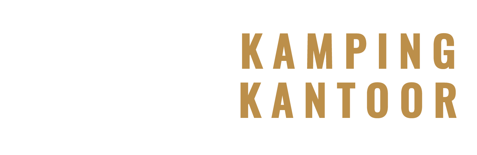 light logo